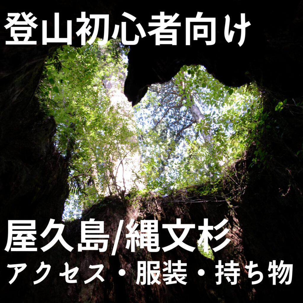 登山初心者向け 屋久島 縄文杉トレッキングの服装と持ち物を解説 まめにアウトドア